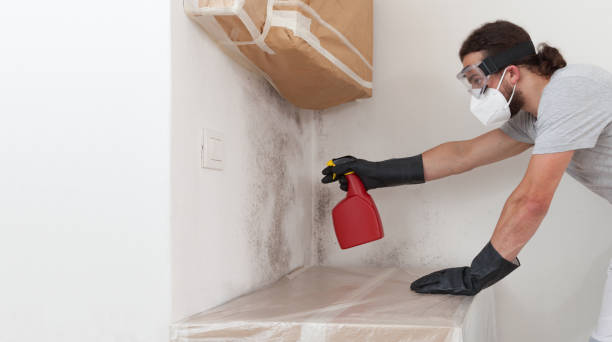 Professional Mold Removal technician working in Pendleton, NC