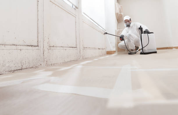 24/7 Emergency Mold Removal experts in Pendleton, NC